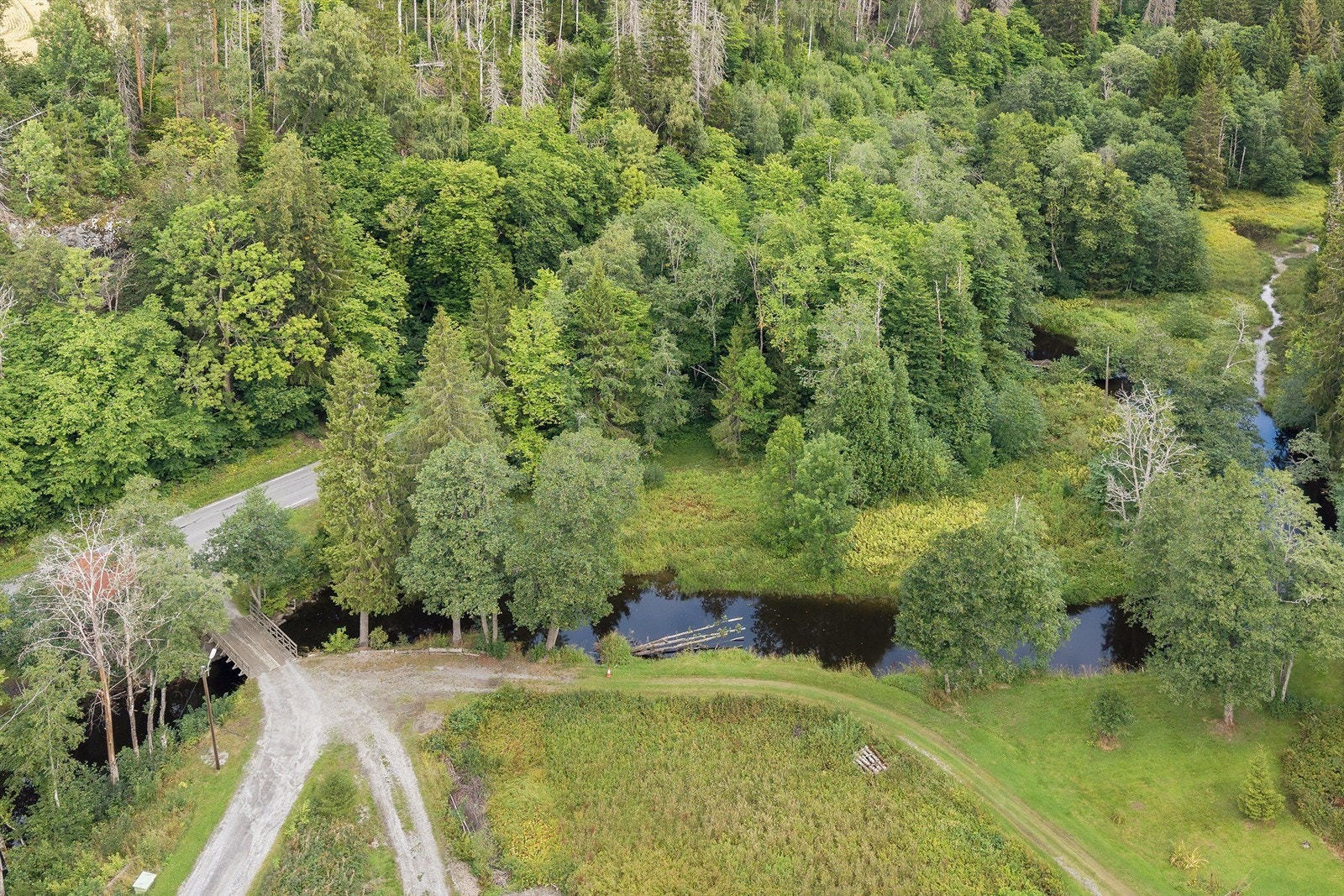 Eiendommen inkluderer både jorder, innmarksbeite og produktiv skog. Galleribilde