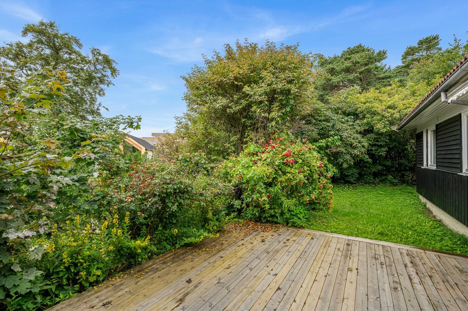 Fra stuen er det direkte utgang til terrasse og videre til den frodige hagen. Terrassen gir en hyggelig og skjermet uteplass - selger opplyser om solforhold fra ca. kl. 09 til 21 på sommerstid. Galleribilde