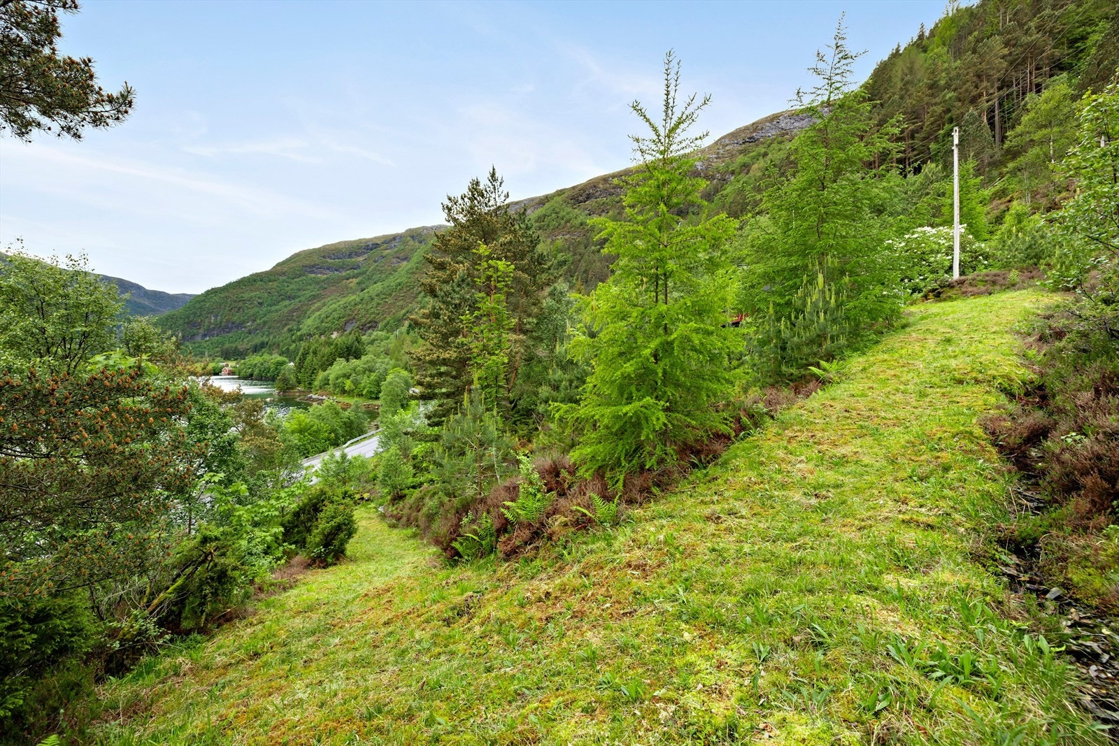 Tomta er opparbeidd med plen og naturleg vegetasjon i skrånande terreng. Galleribilde
