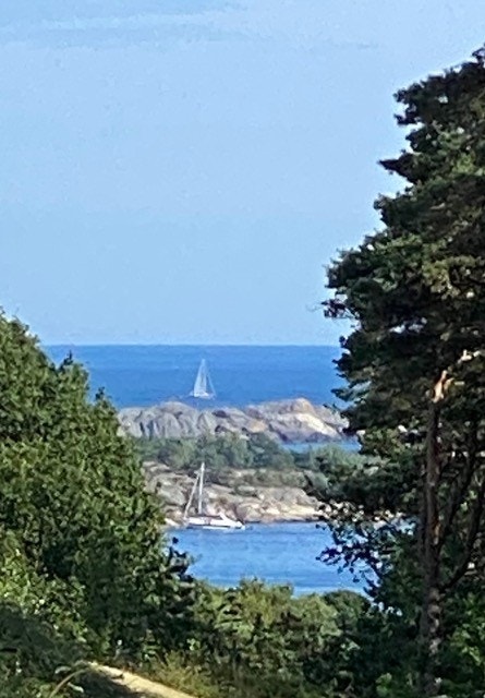 Hyggelig sjøgløtt gjennom frodige omgivelser. Galleribilde