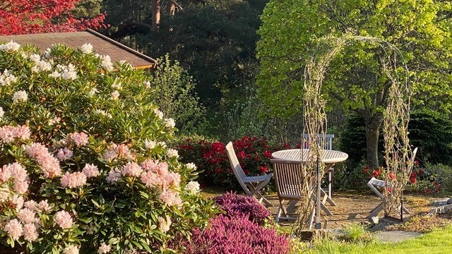 Vakkert på vår og forsommer når alle de flotte Rhododendronene blomstrer. Galleribilde