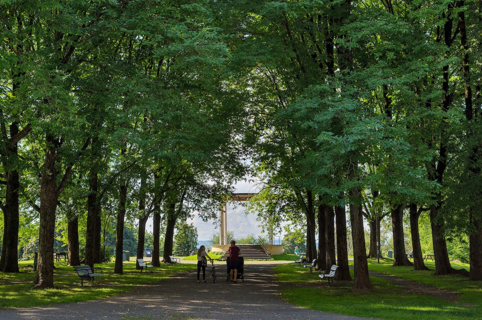 Torshovparken Galleribilde