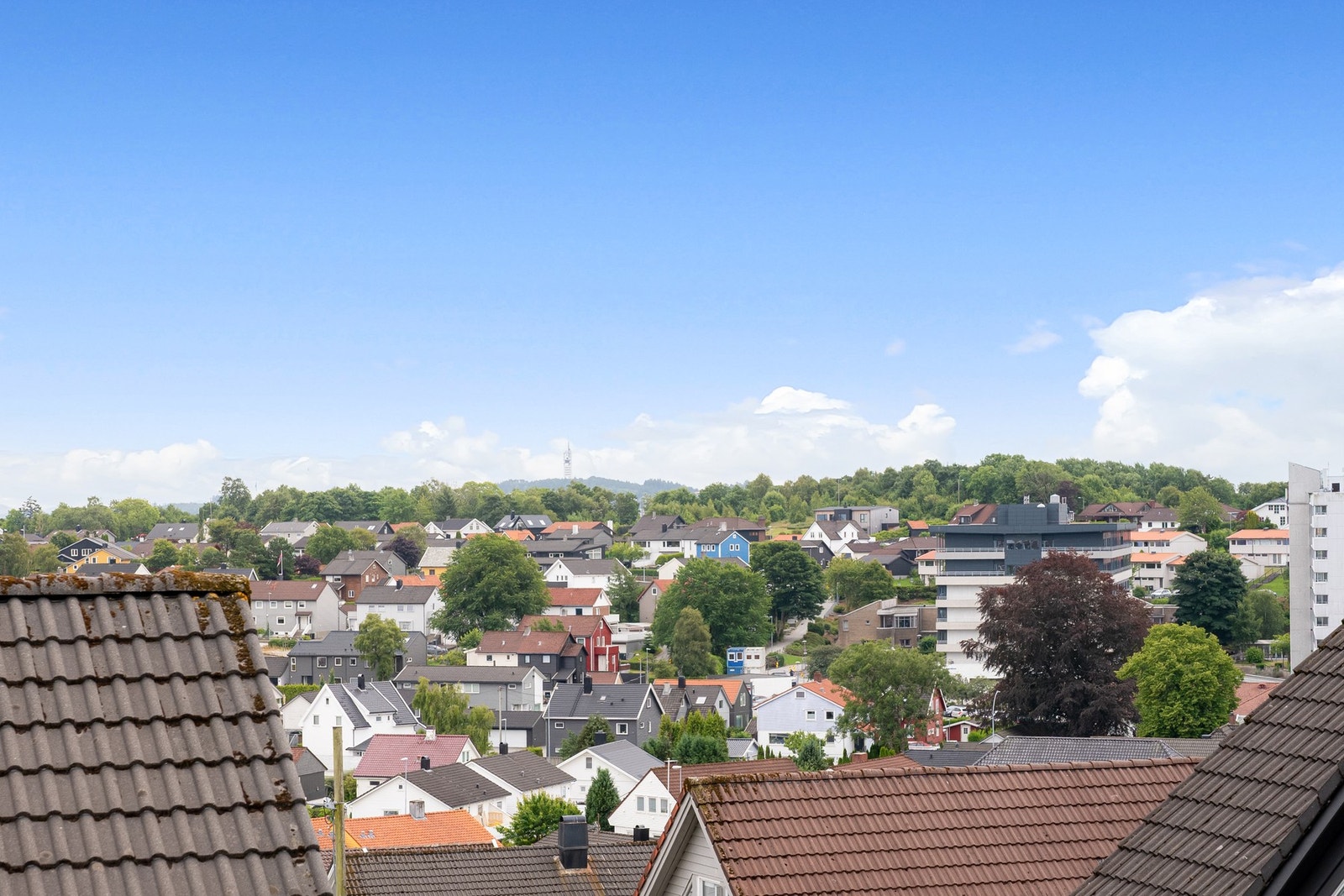 Utsikt fra terrassen Galleribilde