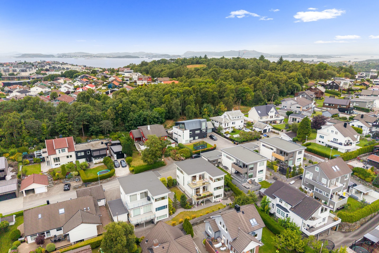 Velkommen til visning! Galleribilde
