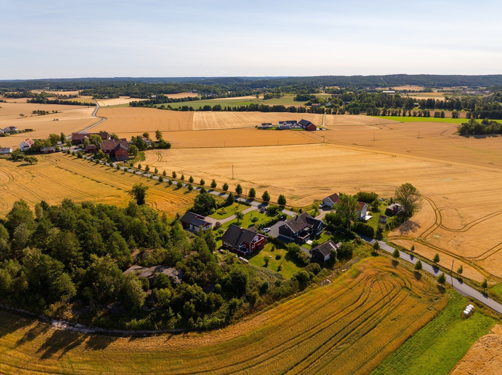Turmuligheter er det flust av i området, blant annet i Elingårdskogen. Galleribilde