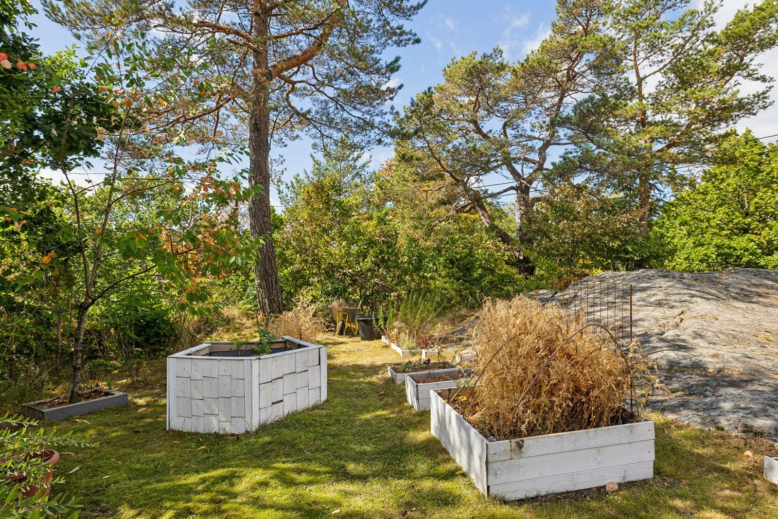 Muligheter for den hageinteresserte med plantekasser og god plass til dyrking. Galleribilde