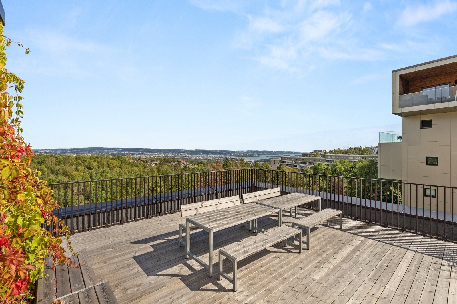Felles takterrassen én etasje over er det panoramautsikt over Oslo sentrum, fjorden, Holmenkollåsen, Røa og Sørkedalen. Galleribilde