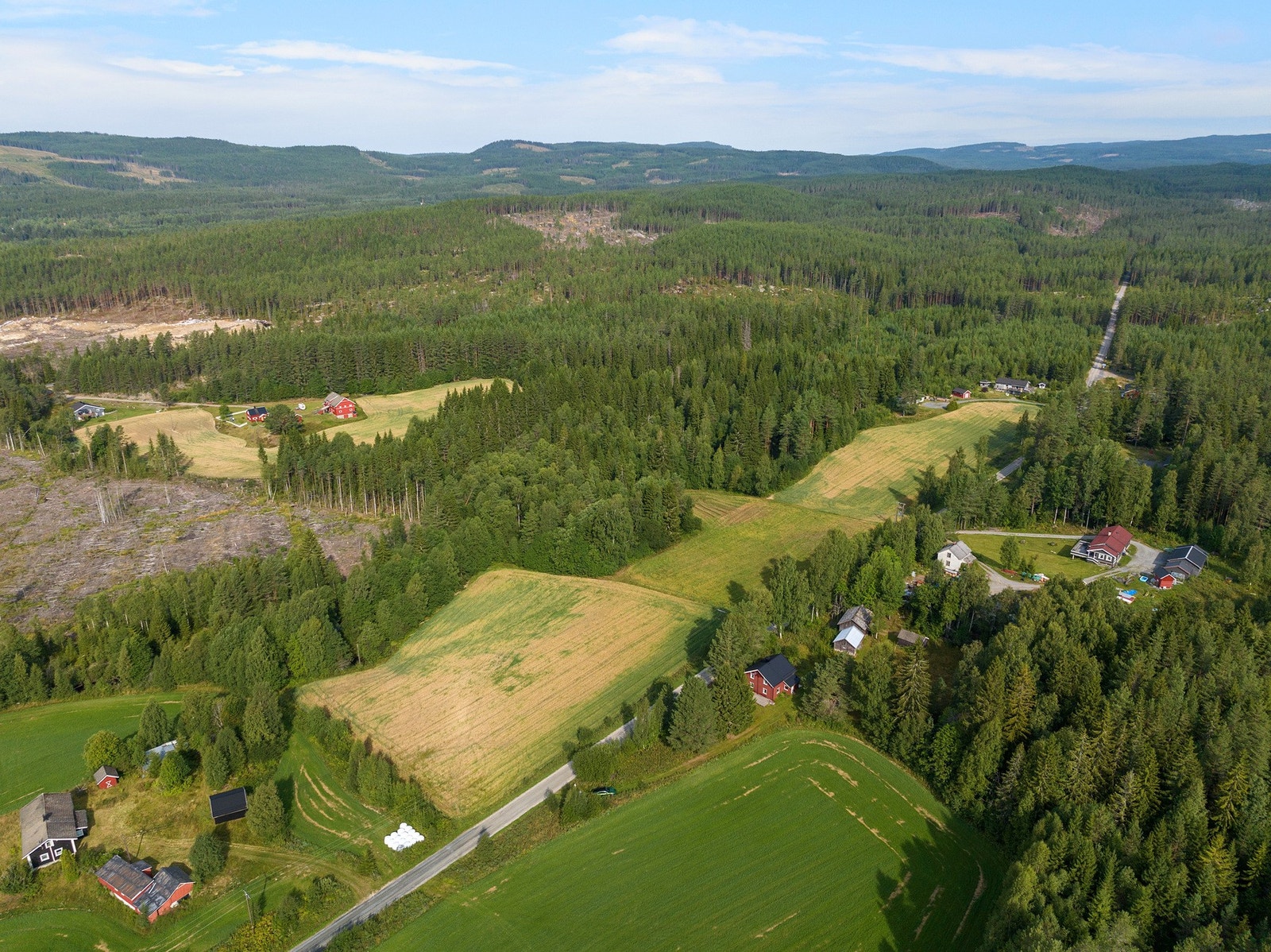 Det er driveplikt i følge selger på jordbruksarealet. Galleribilde