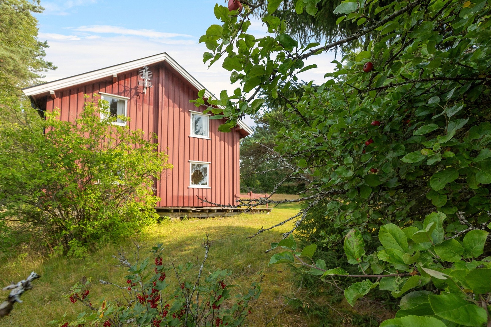 Selger kommer savne å kunne gå ut på gresset, plukke bringebær (mange busker) bak huset. Samt å kunne nyte sol fra morgen til kveld, gå turer i skogen like ved, oppleve ville dyr og fugleliv. Galleribilde