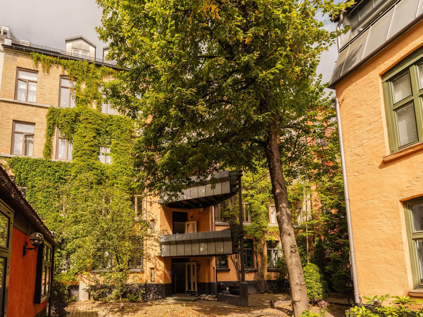 Treet i bakgården vedlikeholdes og beskjæres jevnlig for å sikre lysinnslipp til balkongene og fellesarealene. Galleribilde