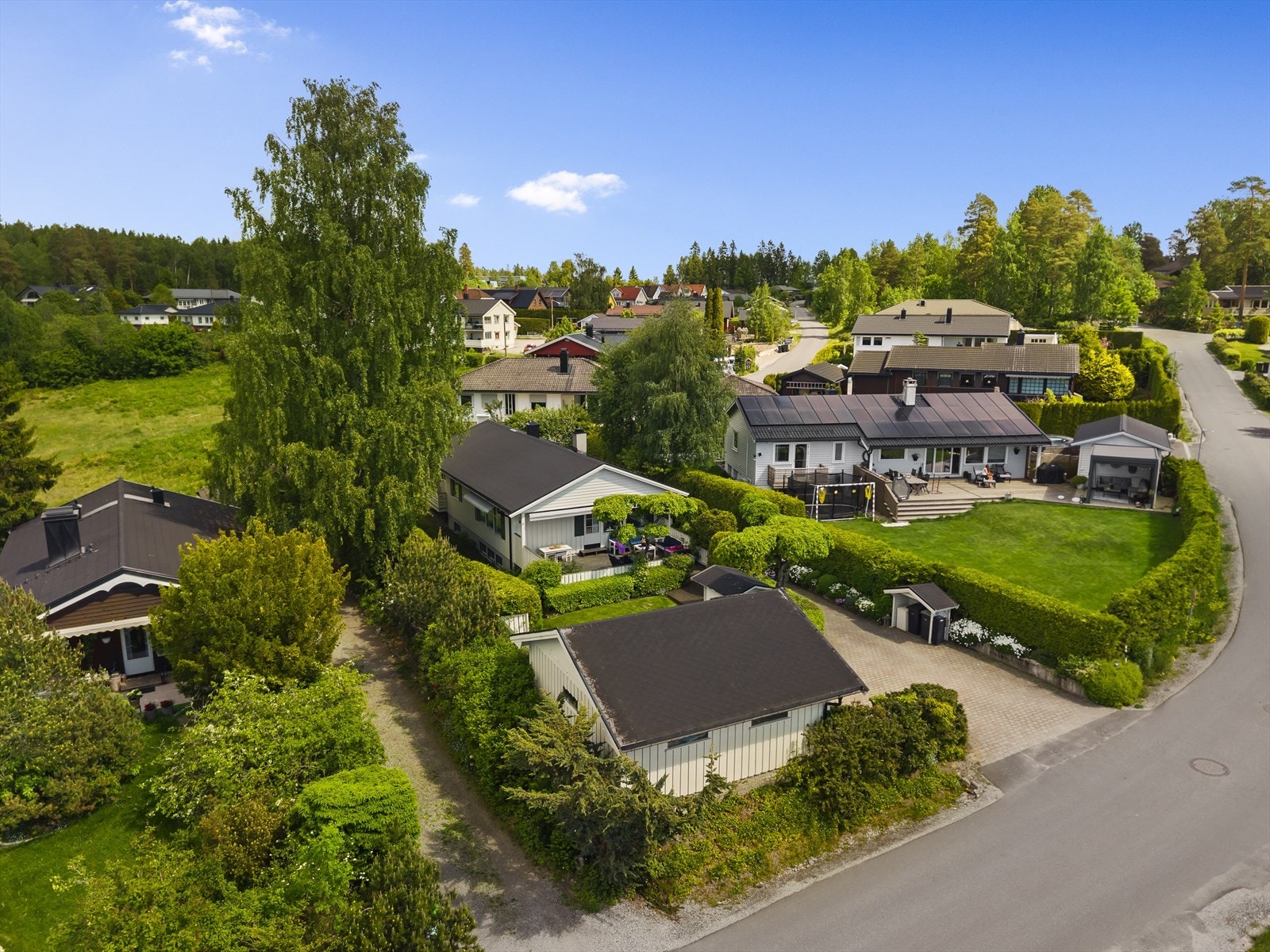 Takk for besøket og velkommen til visning Galleribilde