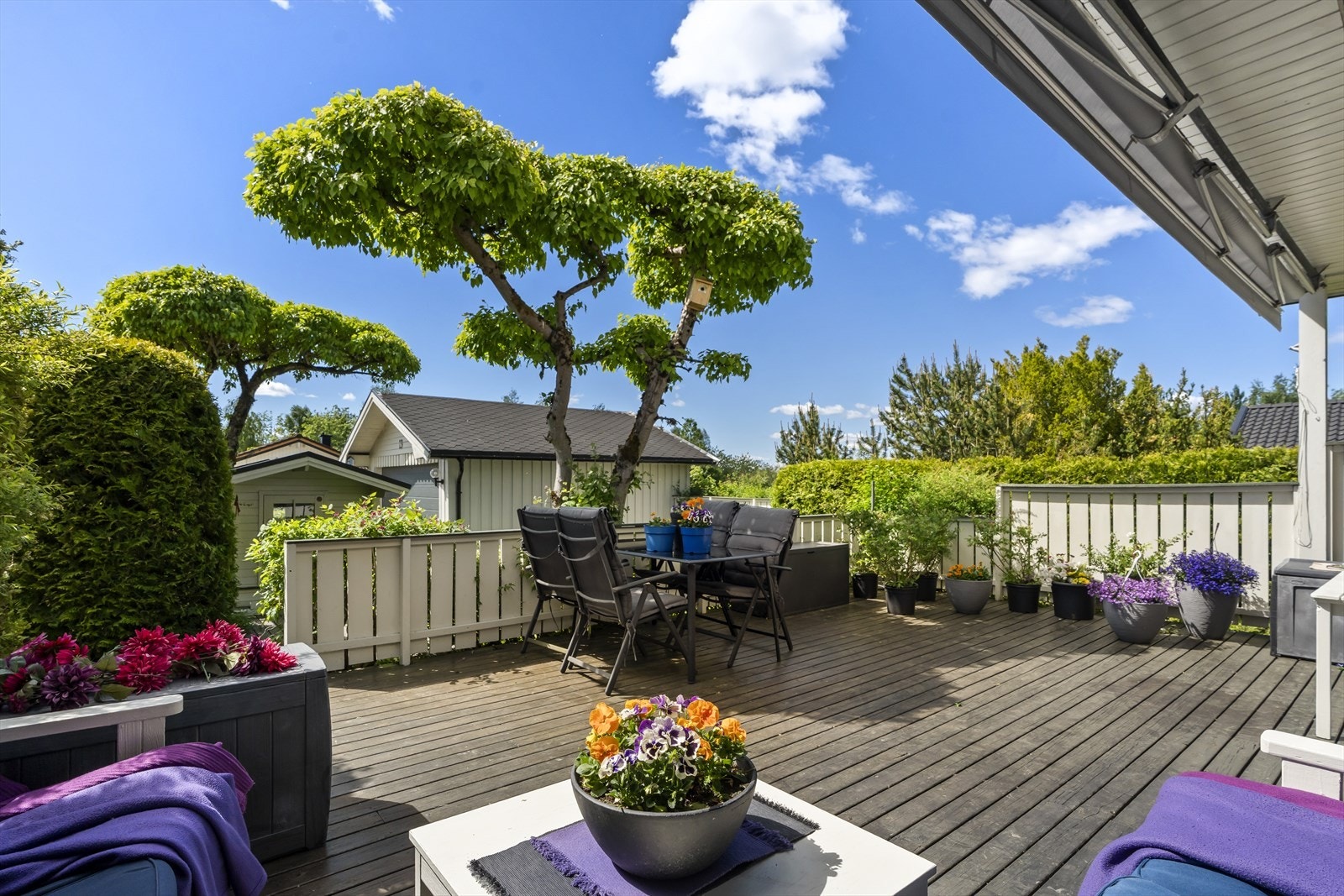 Vestvendt terrasse Galleribilde