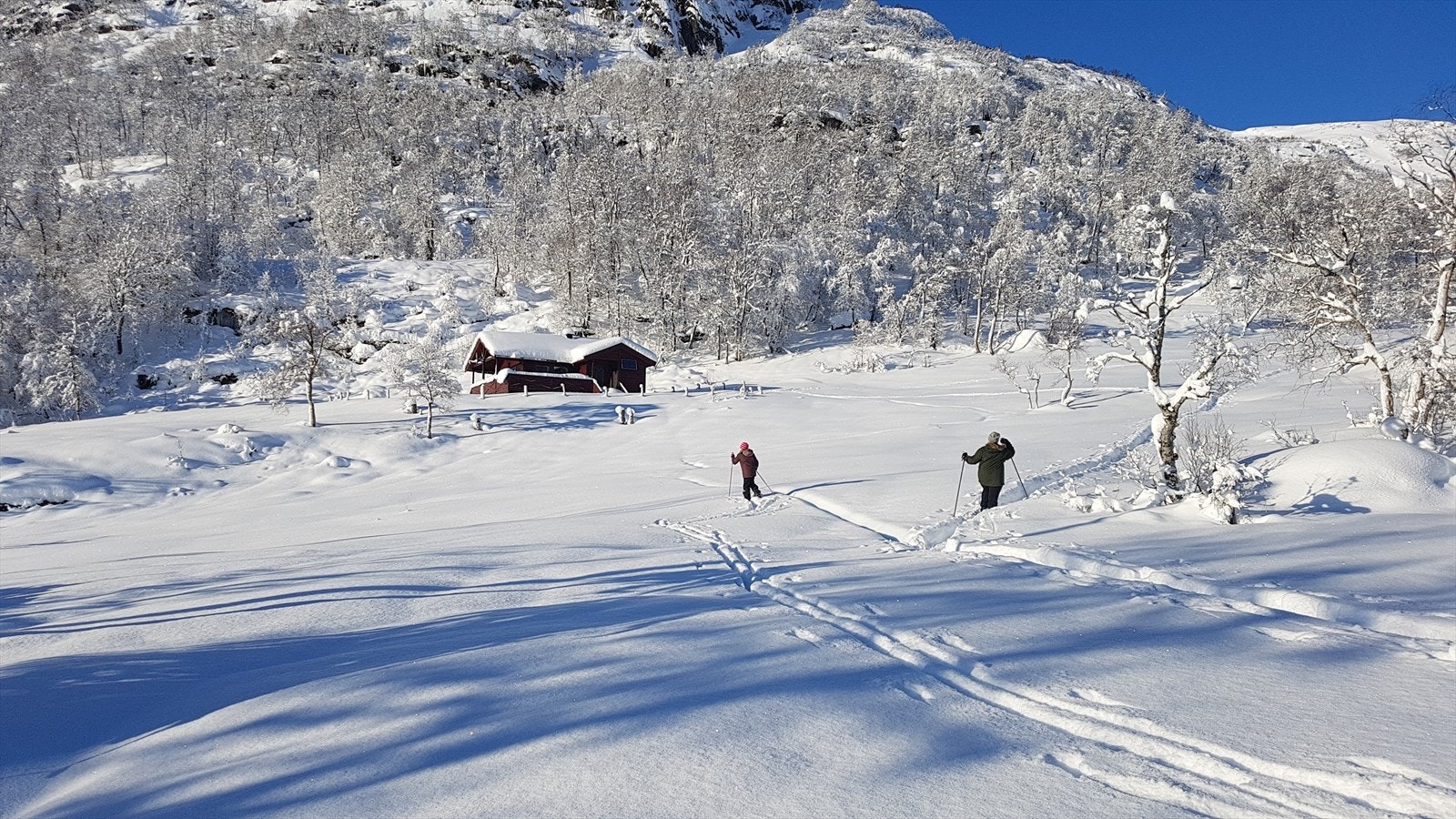 Vinter Galleribilde