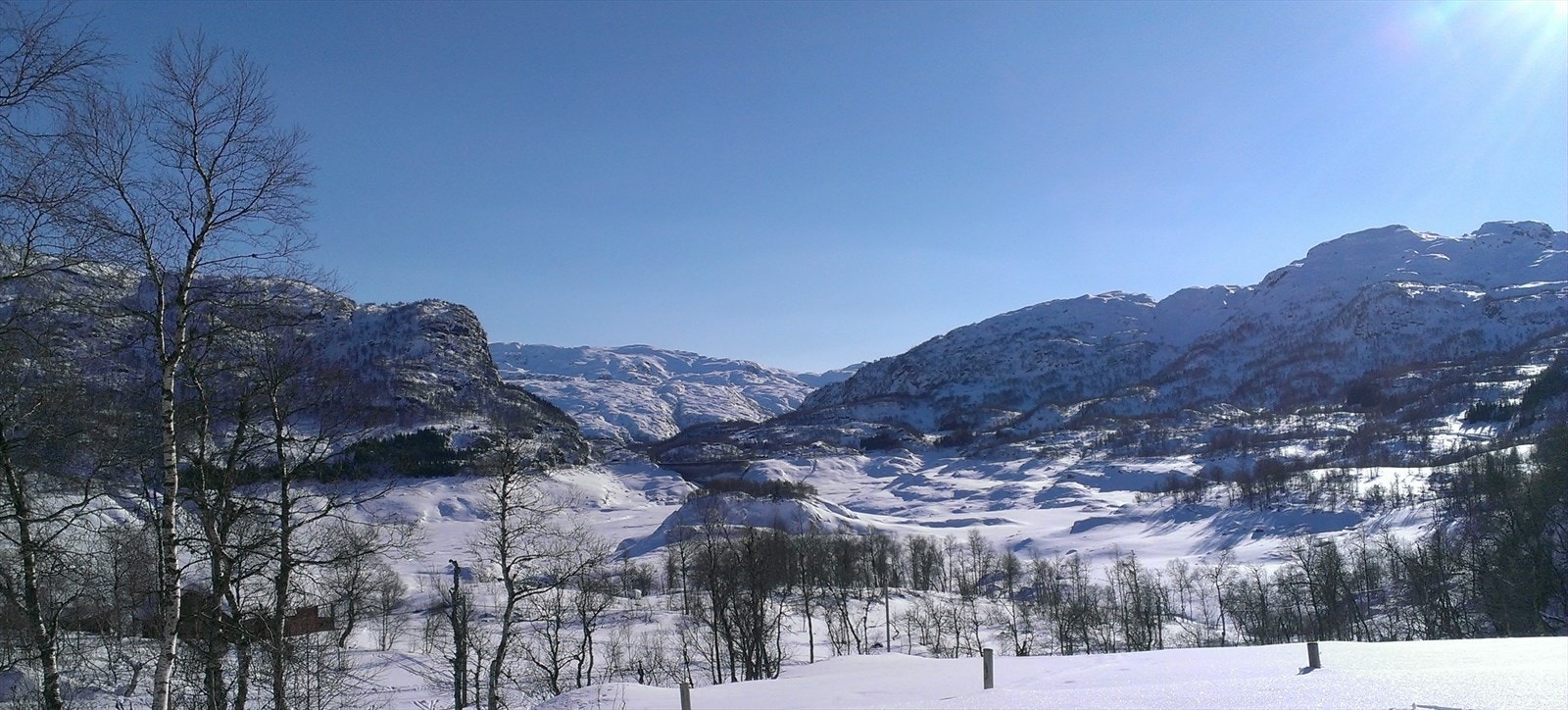 Utsikt vinter Galleribilde