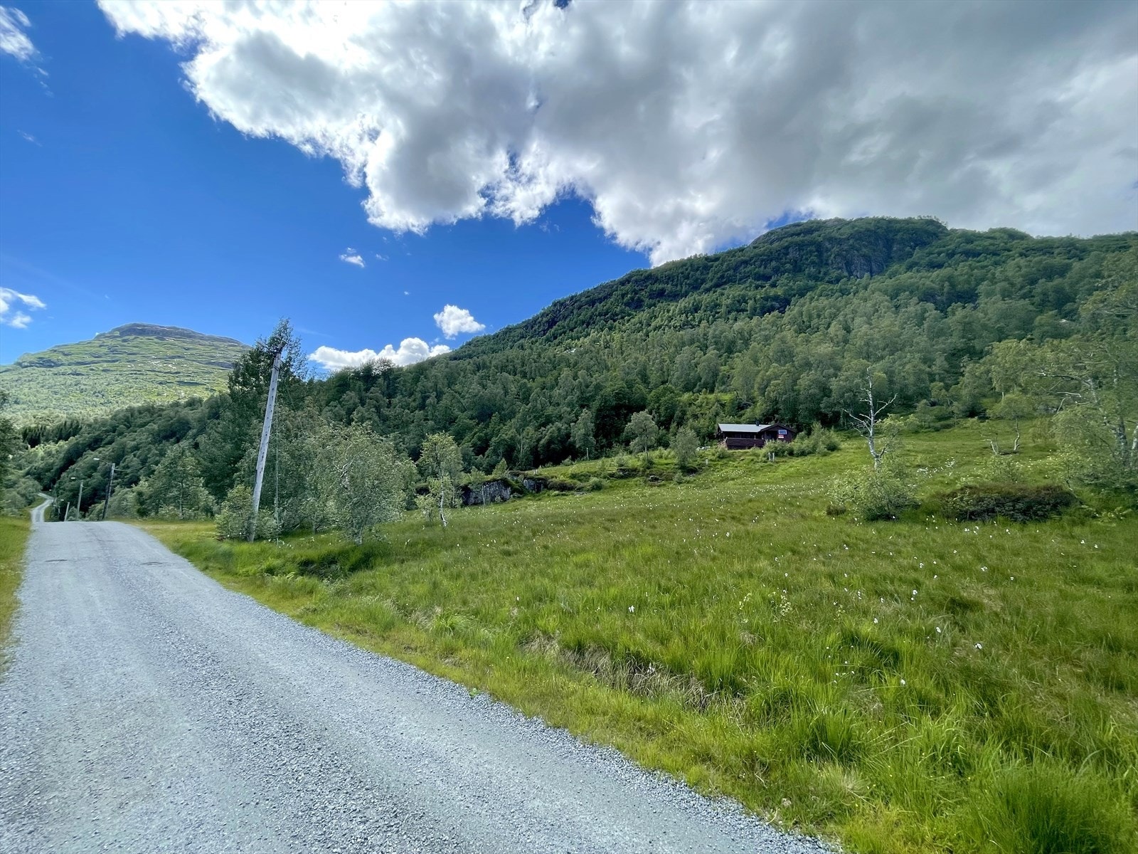 Beliggende like ved vei / skiløype Galleribilde