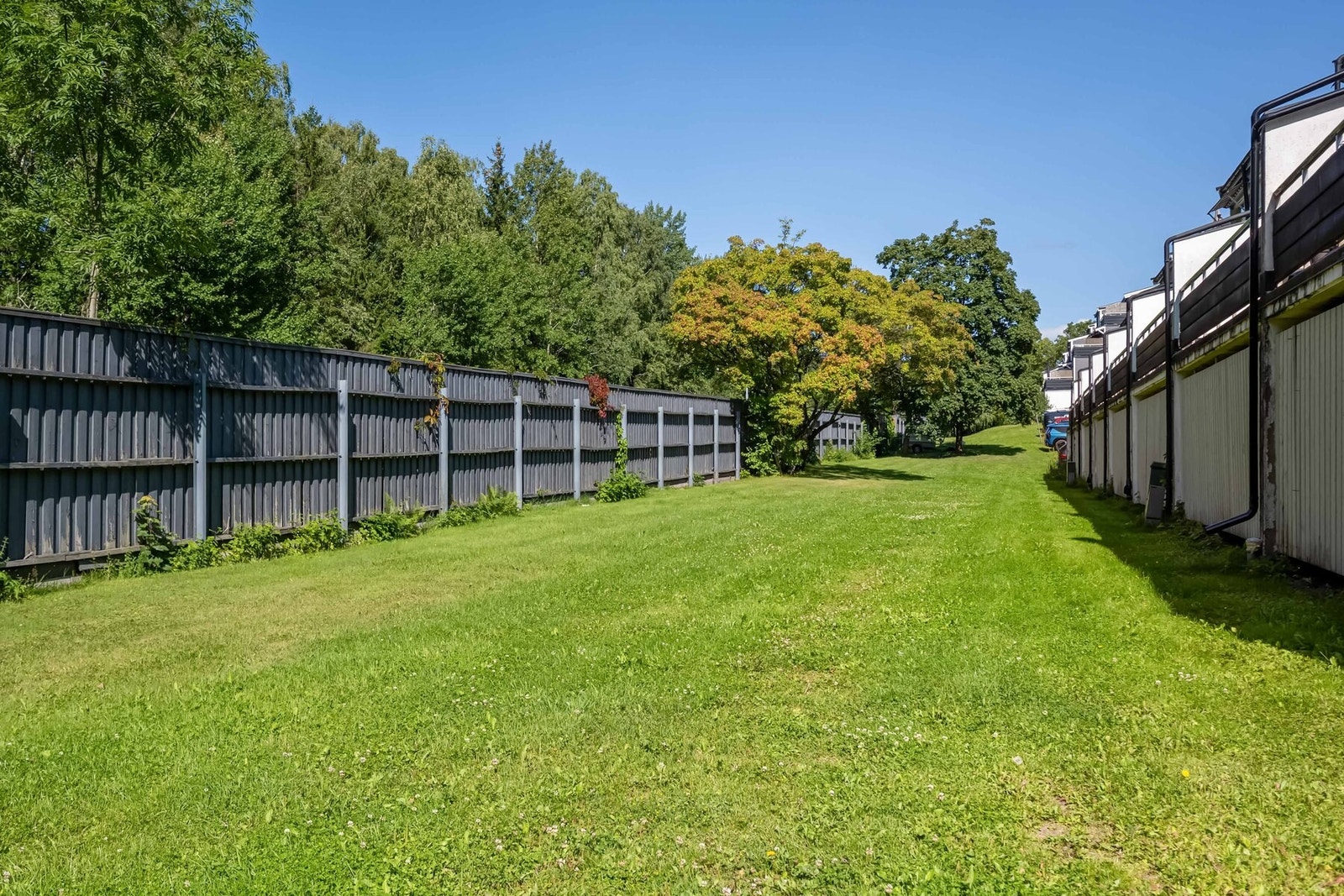 Velkommen til visning! Galleribilde