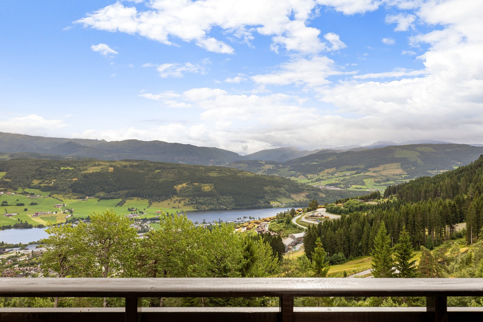 Her kan du følge livet i fjellet gjennom de ulike årstidene. Galleribilde
