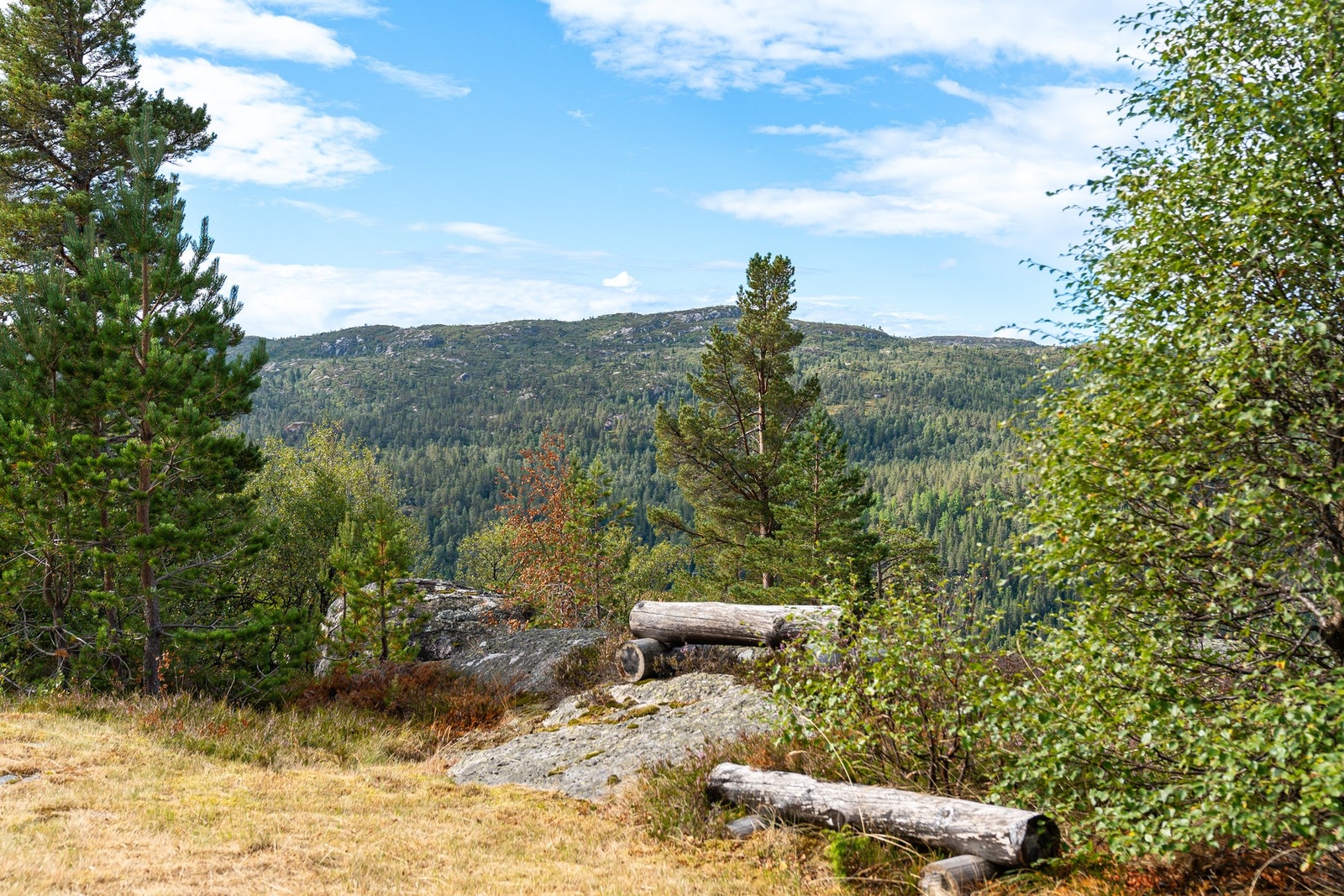 Nydelig utsikt Galleribilde