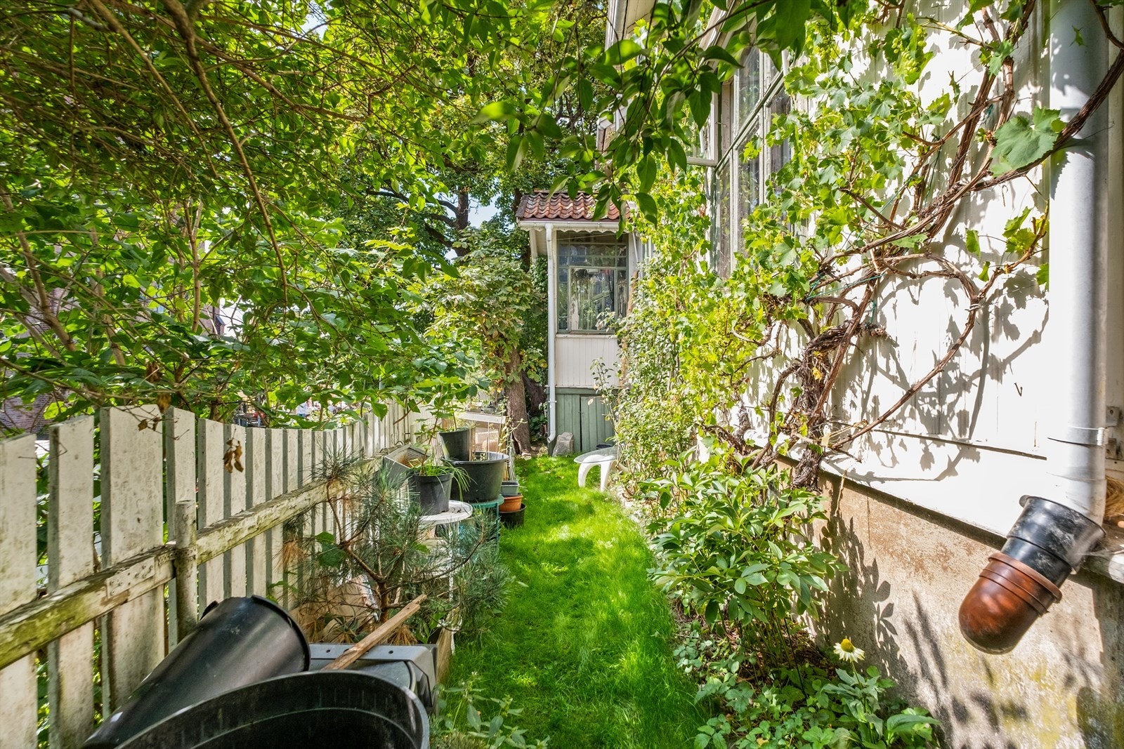 Skjermet grøntsone på forsiden av huset. Galleribilde