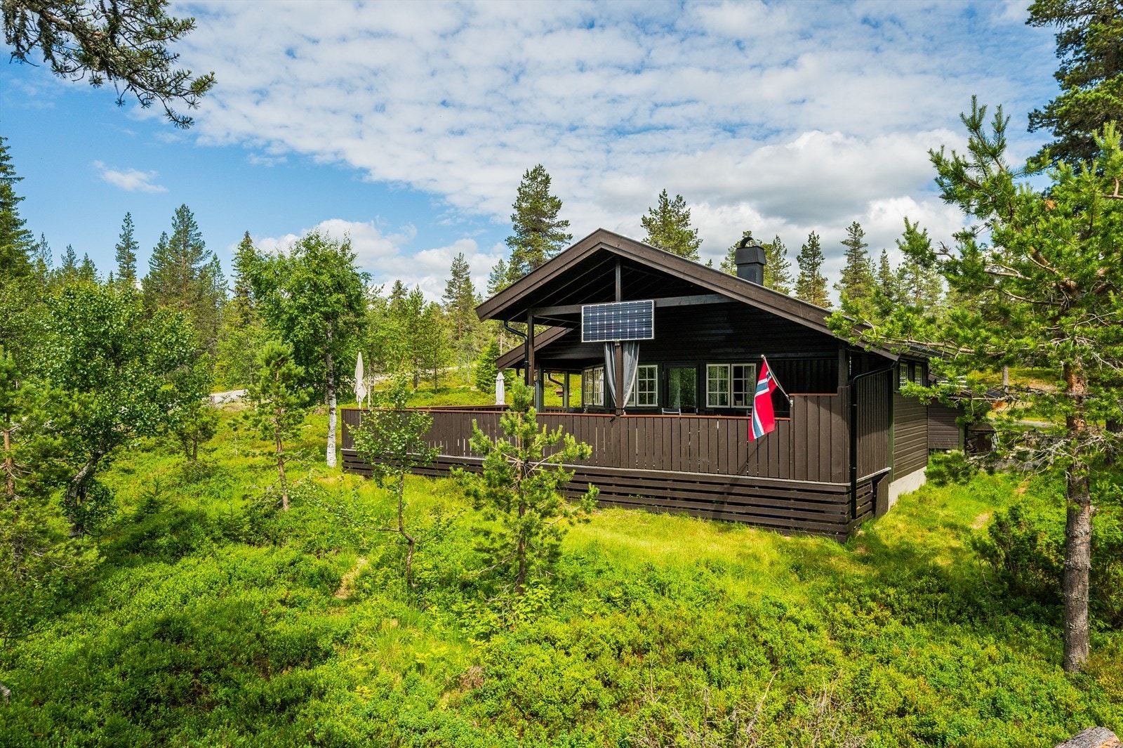 Velkommen til Ringsakerfjellet og Hammarseterhøgda 117! Fotograf: Reidar Valberg. Galleribilde