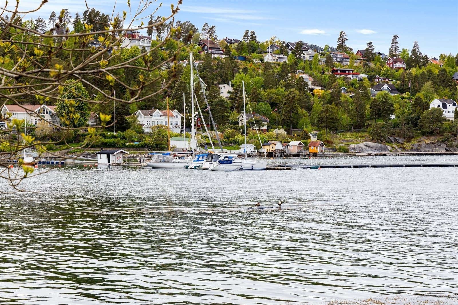 Området byr på nærhet til sjø, skog og flotte turområder. Galleribilde