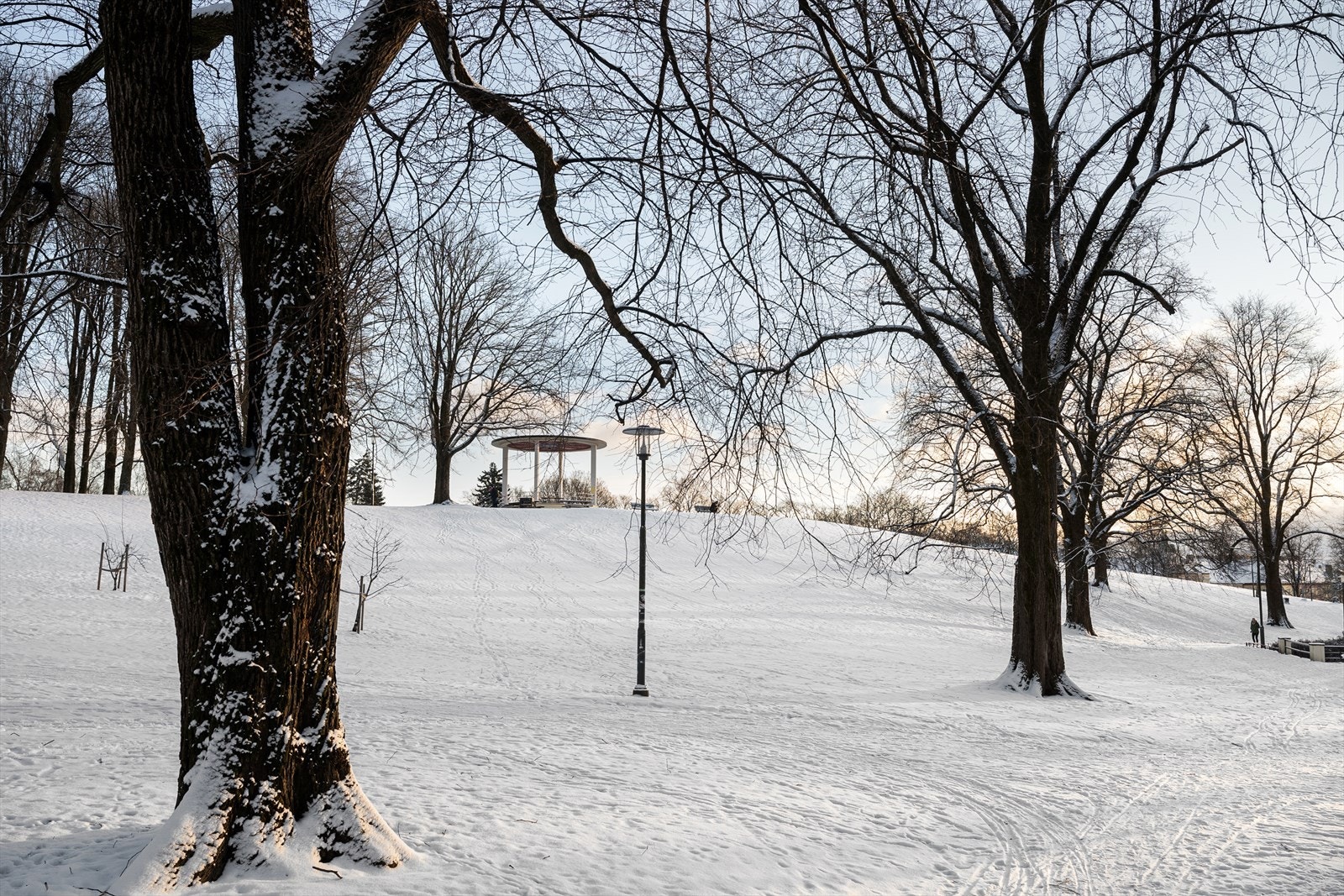 Torshovparken vinterstid - populær akebakke for de små Galleribilde