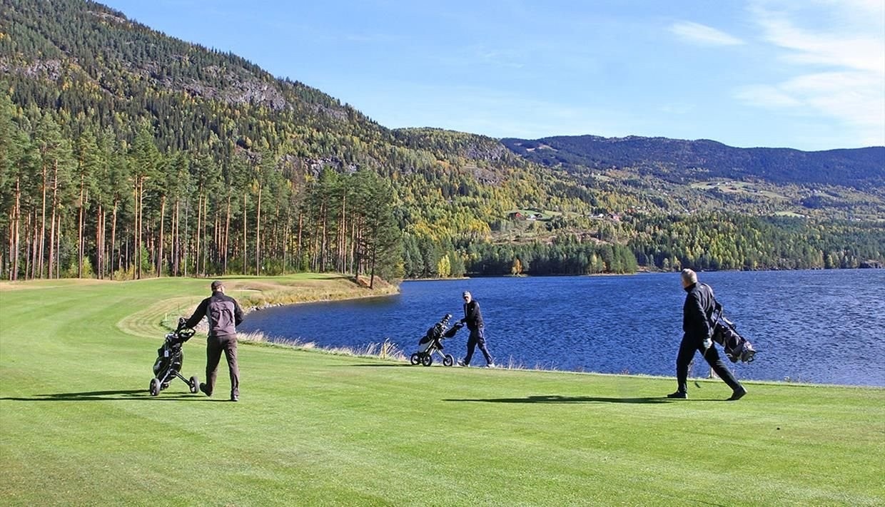 Valdres golfbane- bare 15 min. unna Galleribilde