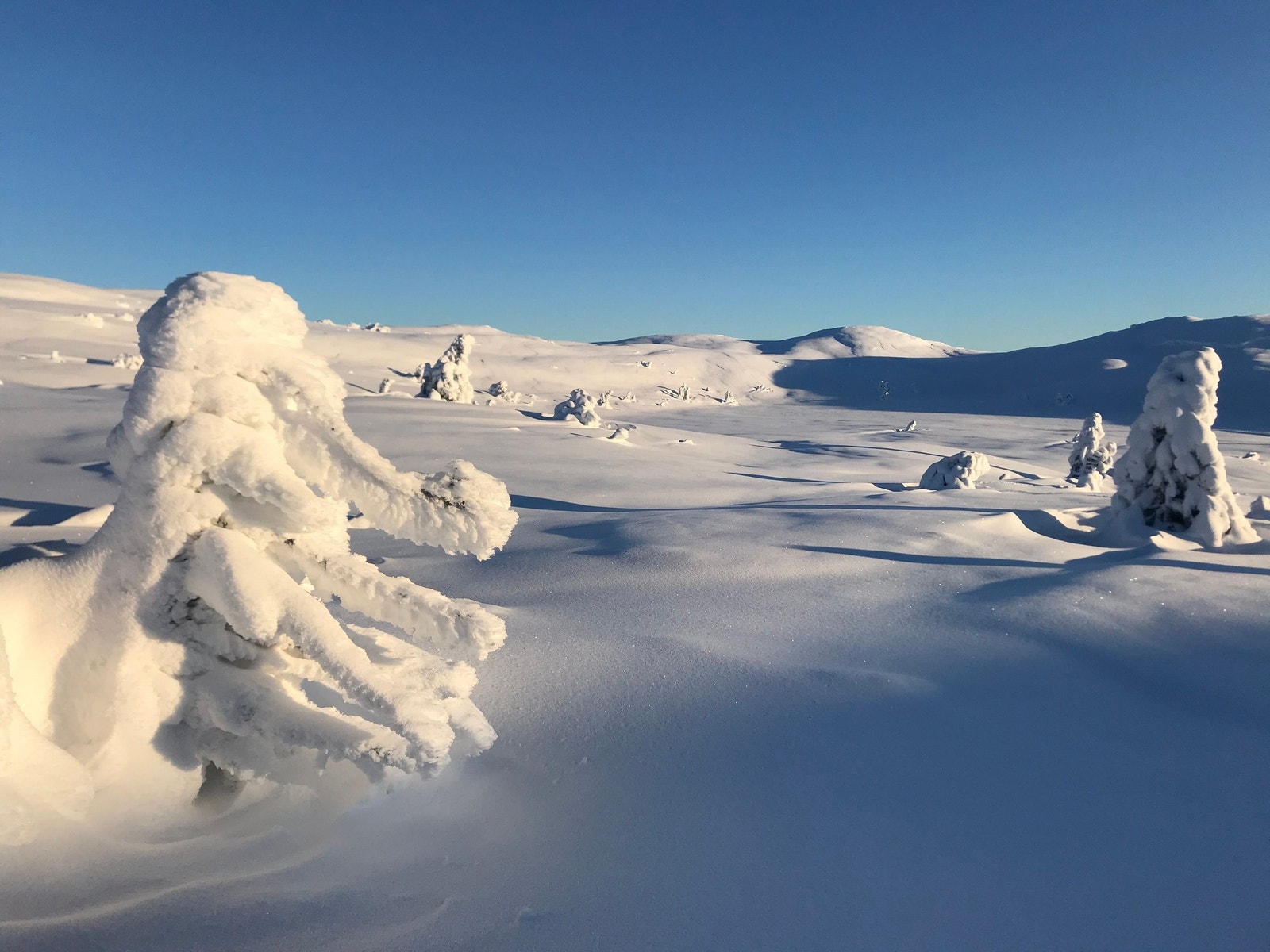 Vakker vinterstemning på skituren Galleribilde