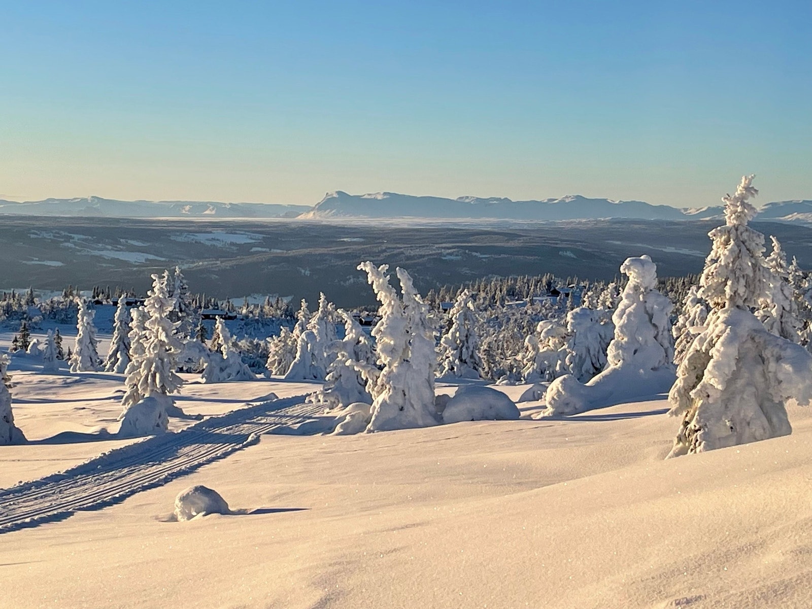 Vinterstemning med Skogshorn i bakgrunnen Galleribilde