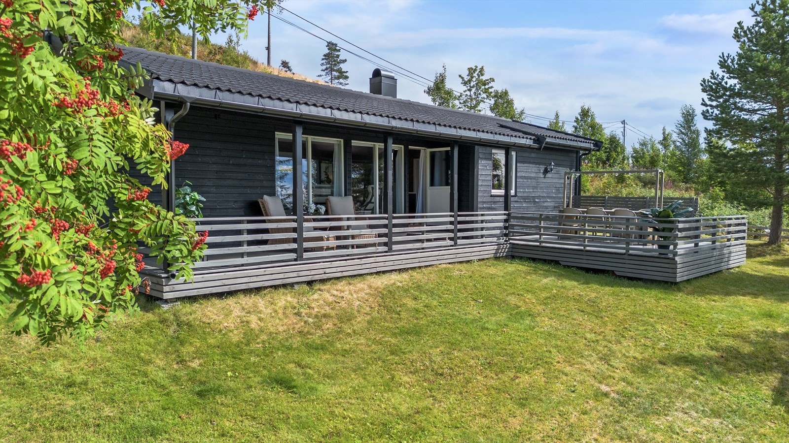 Tomteareal opparbeidet med plen og beplantning. Galleribilde
