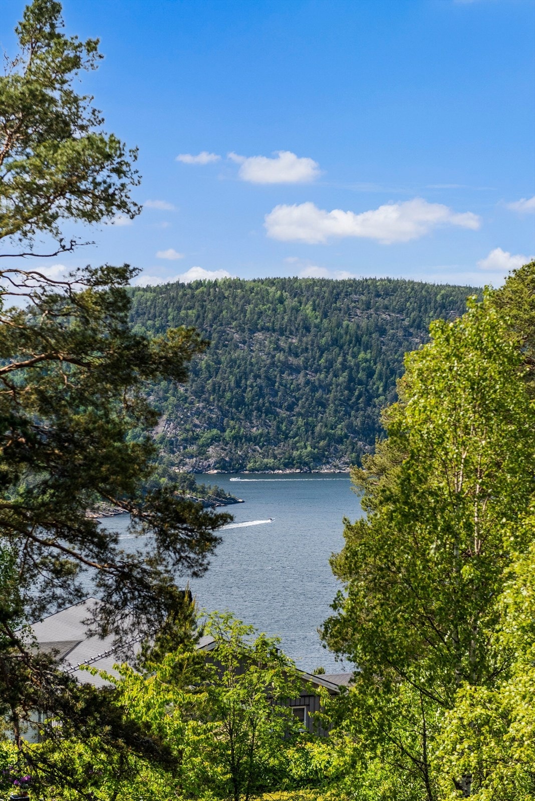 Fra eiendommen er det umiddelbar nærhet til flotte tur- og rekreasjonsmuligheter. Galleribilde