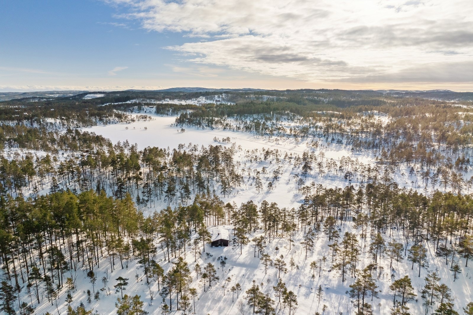 Velkommen på visning! Galleribilde