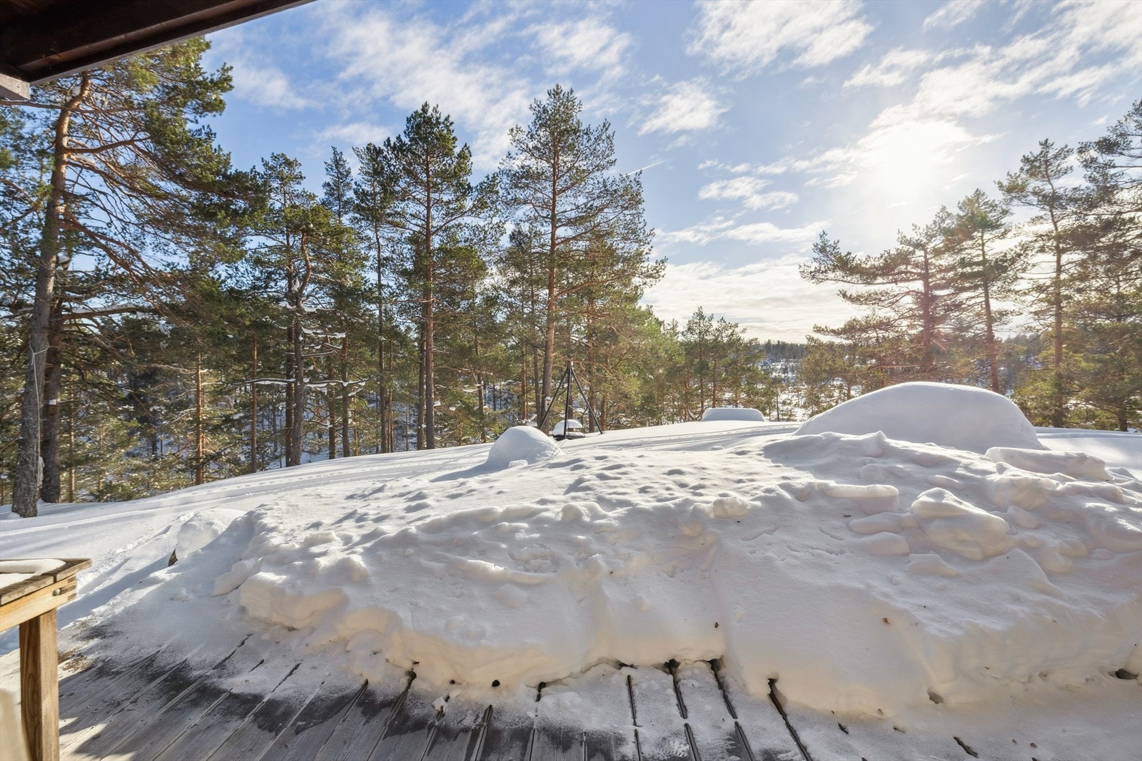 Solrikt på terrassen. Galleribilde