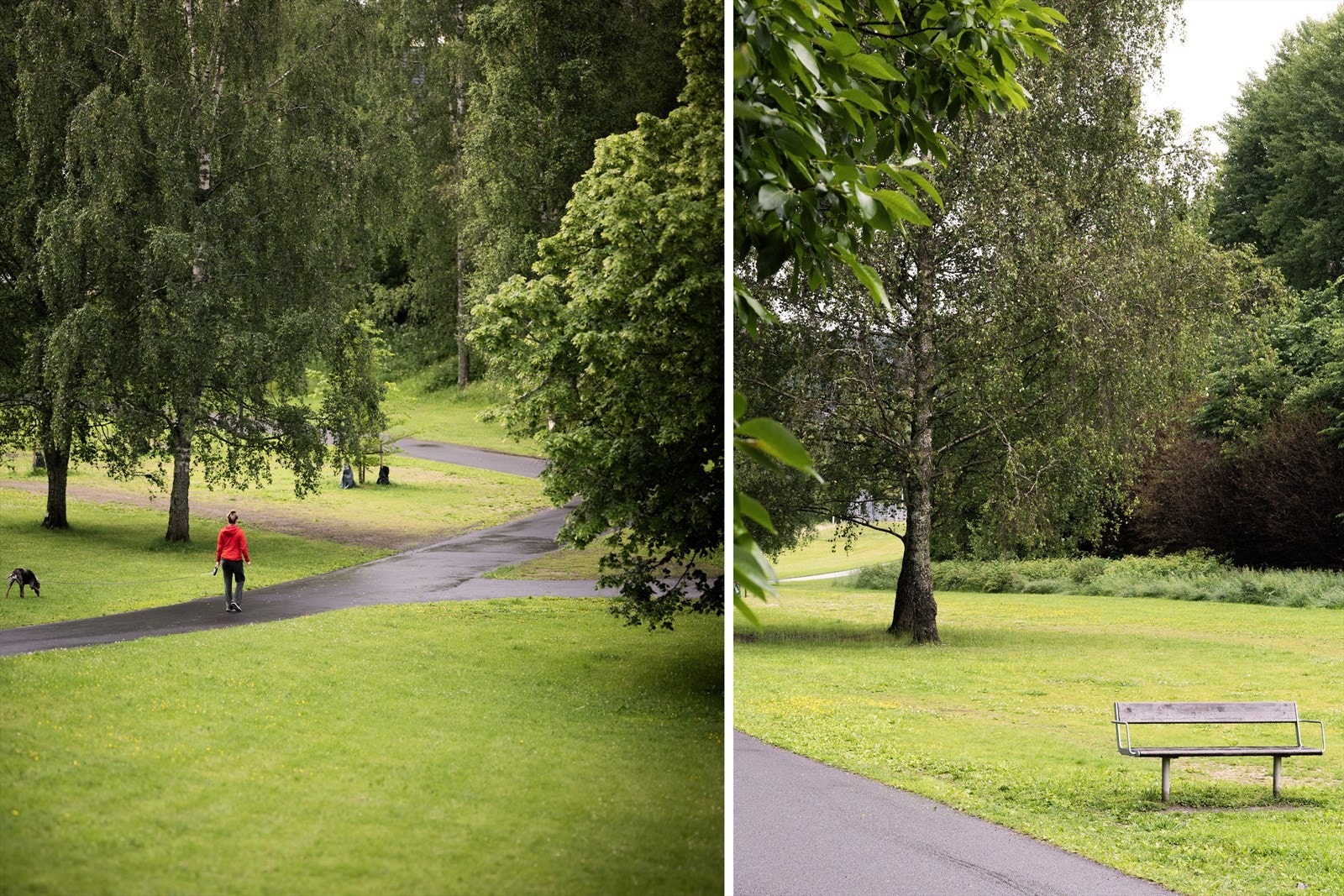 Her får du fine turstier og grøntområder rett utenfor døren. Galleribilde