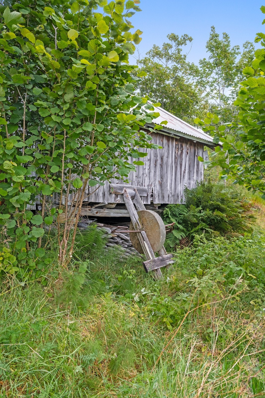 Gamle bygninger og gårdsredskaper på eiendommen vitner om lange tradisjoner og et rikt historisk preg. Galleribilde