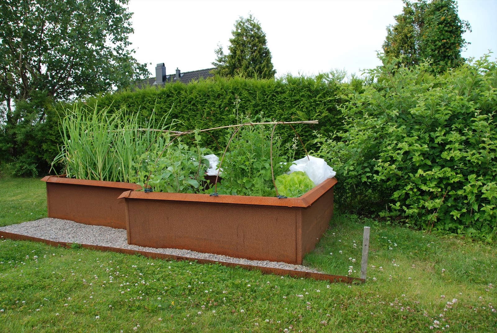 Matauk.JPG Galleribilde