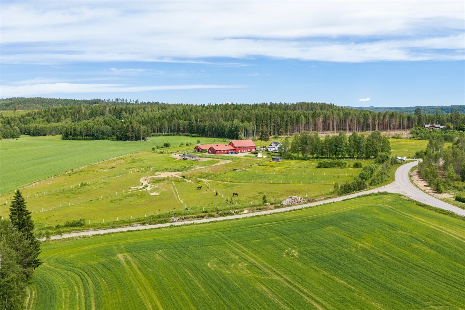 Landlig og fredelig beliggenhet i Eidskog kommune. Galleribilde