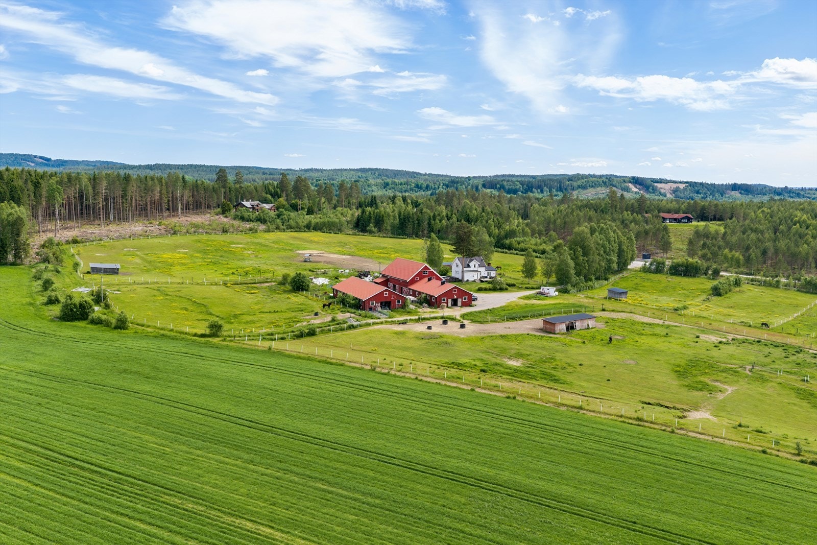 Gården er omkranset av egne jorder og luftegårder. Galleribilde