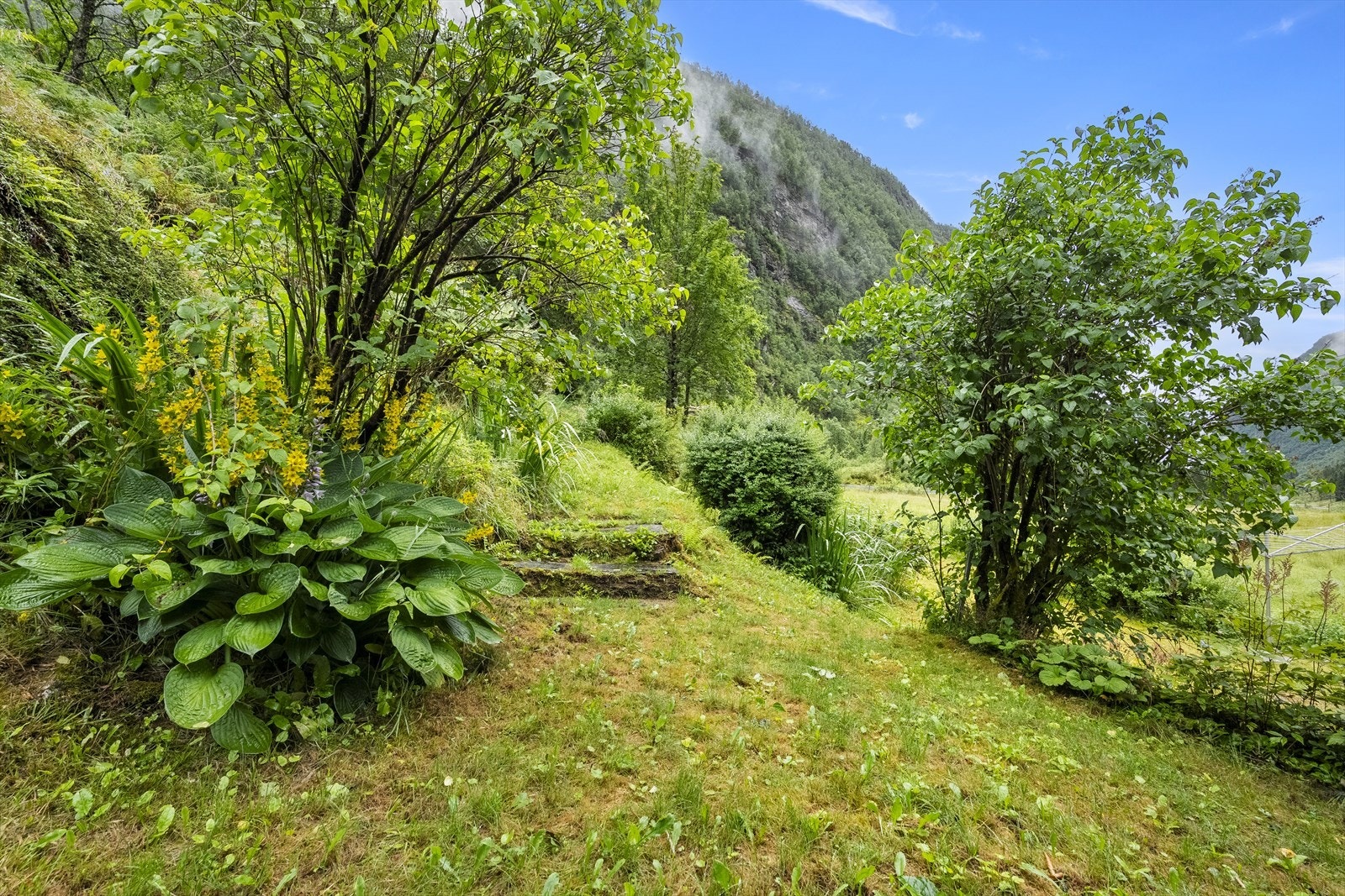 Naturtomt med plen og diverse beplantning. Galleribilde