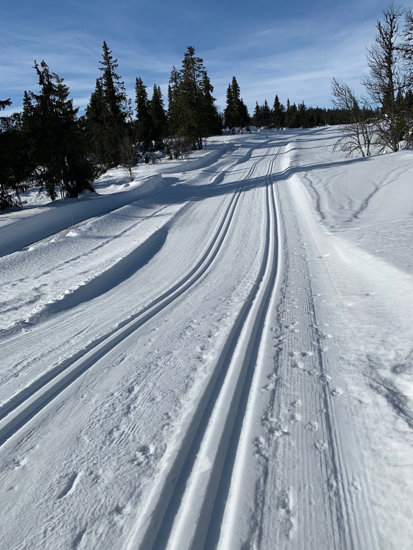 For de som er glade i å ta på skiene, er det kun 250 m til nærmeste skiløype som er koblet til hele 758 km preparert løype. Galleribilde