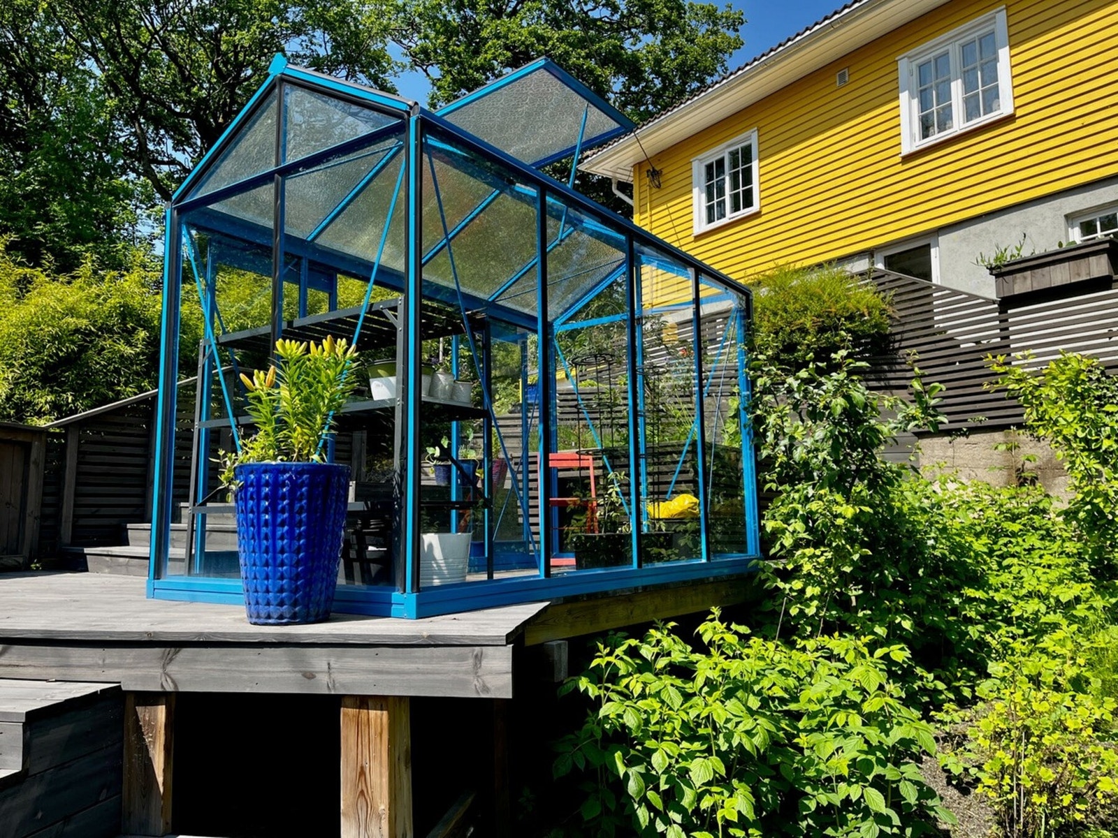 Ned mot drivhus på sommeren (Bilde fra eier) Galleribilde