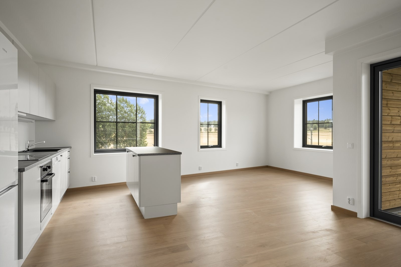 Stue/kjøkken Galleribilde