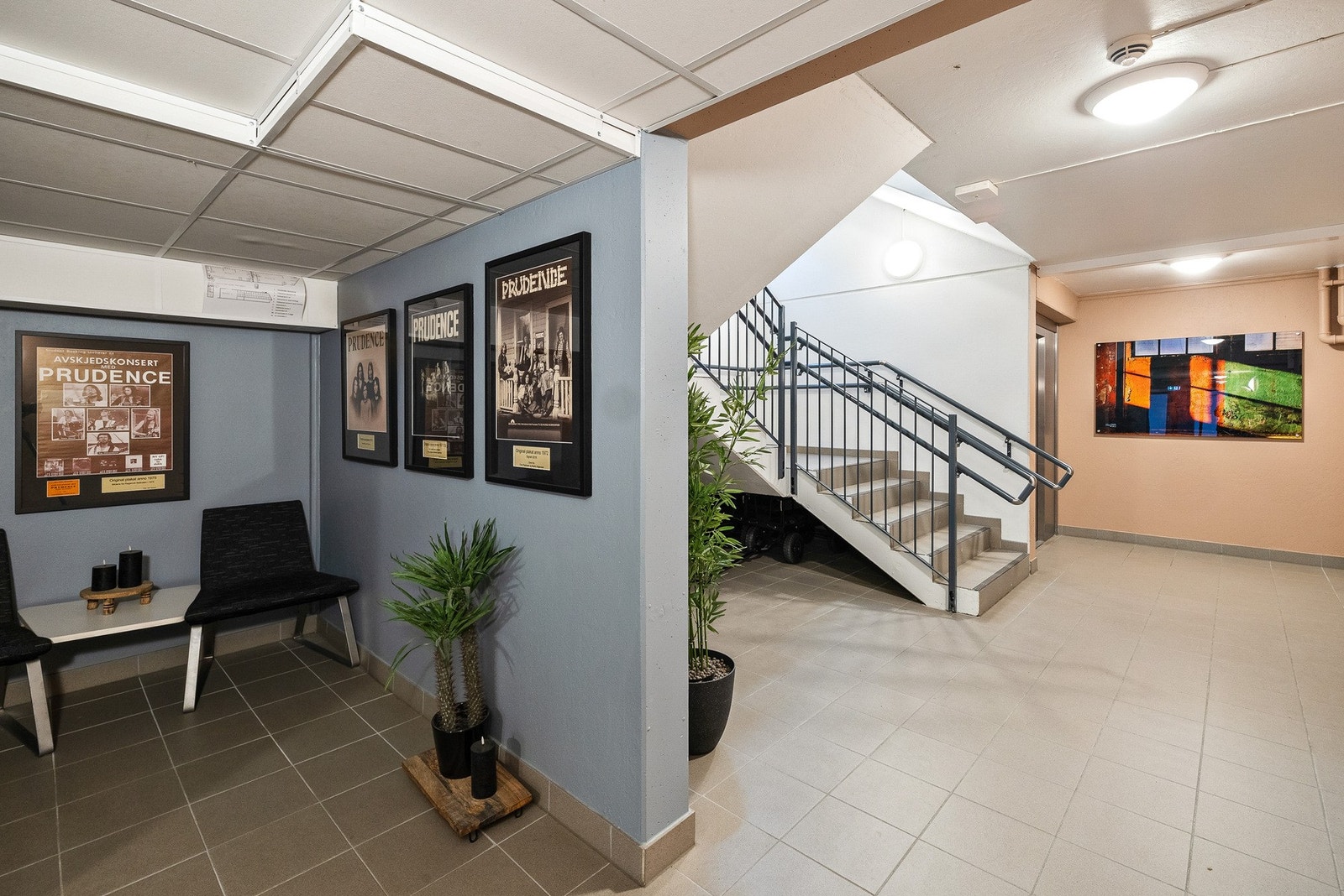 Fellesarealer Galleribilde