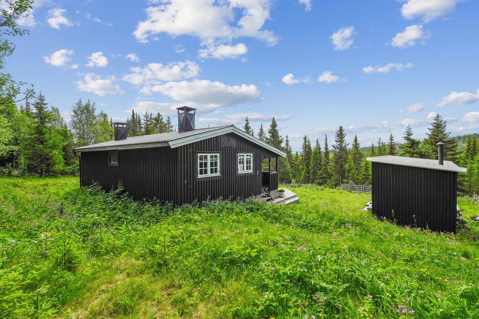 Hyggelig naturtomt forøvrig Galleribilde
