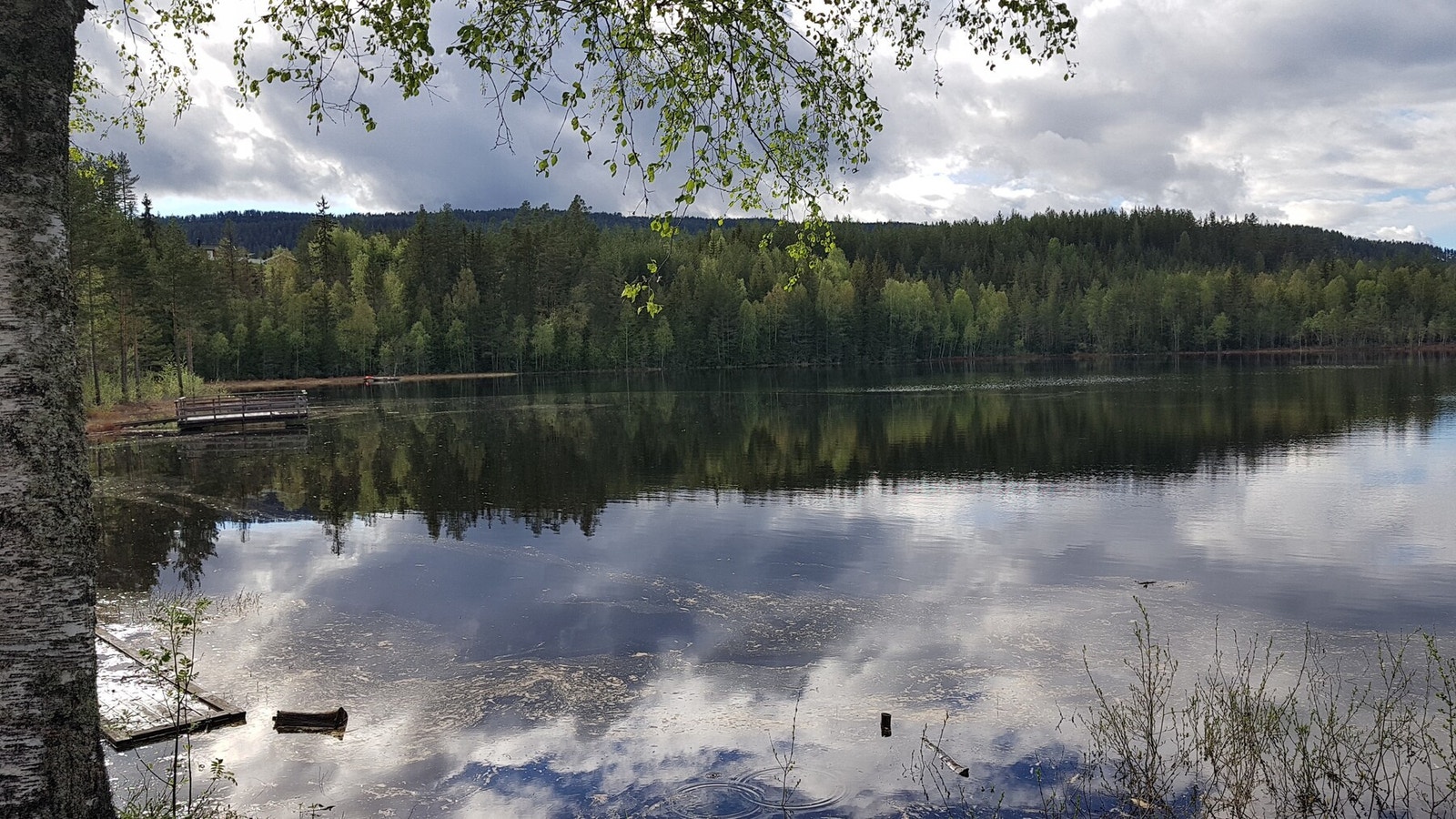 Foto: Selger Galleribilde