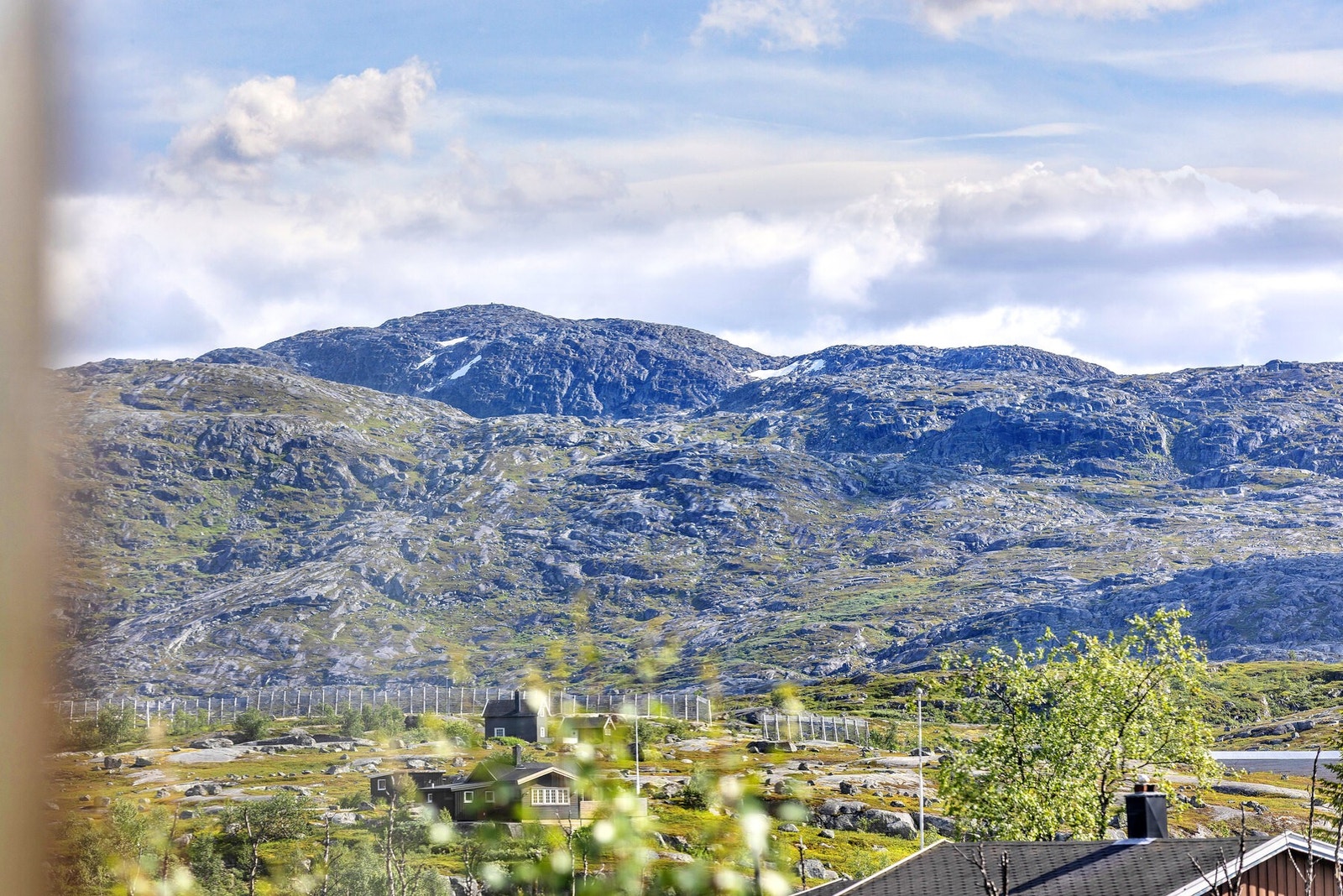 Utsikt over nærområdet fra hytta. Galleribilde