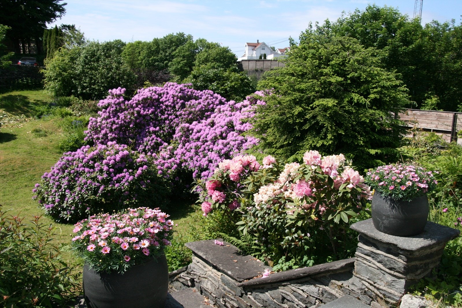 Hagebilder (privat foto). Galleribilde