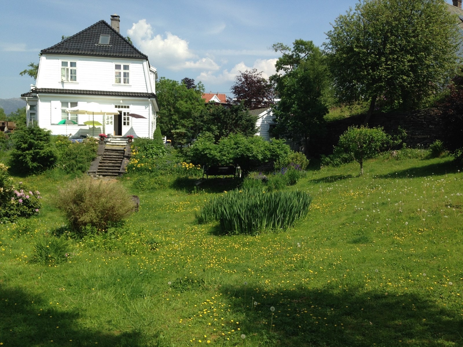 Hagebilder (privat foto). Galleribilde