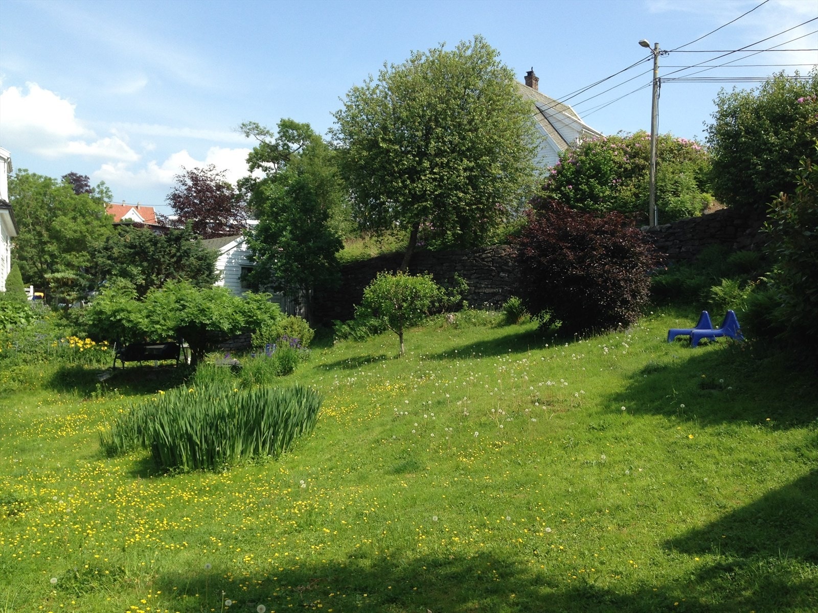 Hagebilder (privat foto). Galleribilde