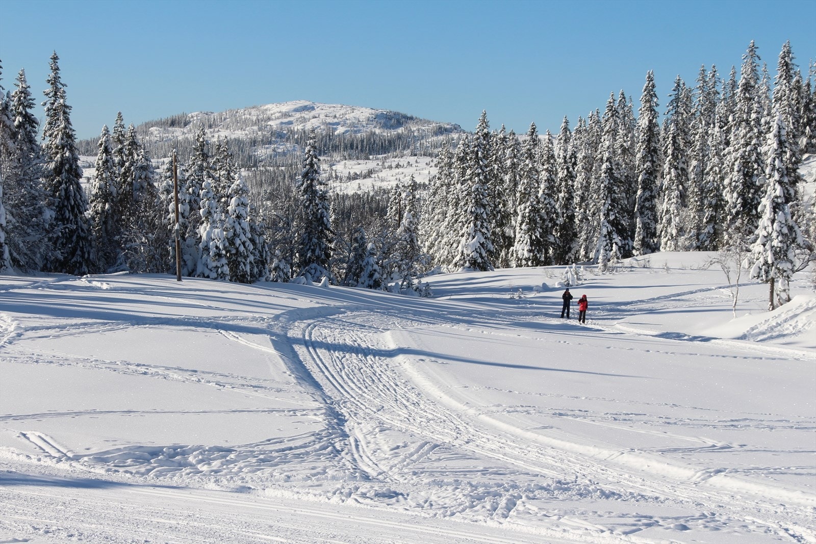 Løyper og stier er av varierende vanskelighetsgrad, og burde tilfredsstille de fleste behov fra sykling, trimturer, barnevogntrilling, skiturer m.m. Kort vei er det også til Saupstad Skistadion og Granåsen med bl.a. rulleskiløype. Galleribilde